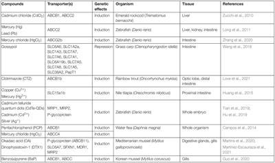 Interactions of Environmental Chemicals and Natural Products With ABC and SLC Transporters in the Digestive System of Aquatic Organisms